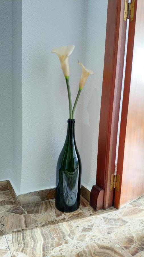 Perfect Apartment Near The Beach Alicante Luaran gambar